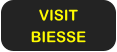 VISIT BIESSE