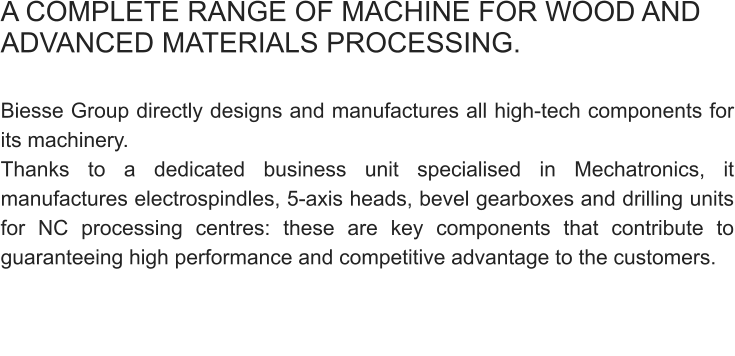 A COMPLETE RANGE OF MACHINE FOR WOOD AND ADVANCED MATERIALS PROCESSING.  Biesse Group directly designs and manufactures all high-tech components for its machinery. Thanks to a dedicated business unit specialised in Mechatronics, it manufactures electrospindles, 5-axis heads, bevel gearboxes and drilling units for NC processing centres: these are key components that contribute to guaranteeing high performance and competitive advantage to the customers.