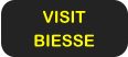 VISIT BIESSE